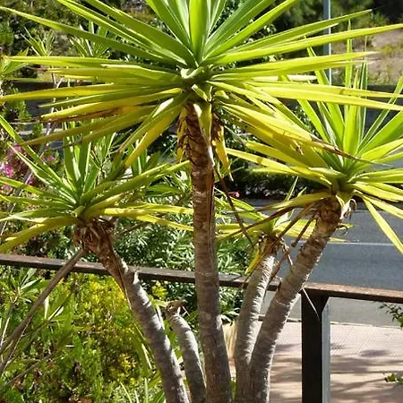 Casa Es Putxet 빌라 칼라 라트자다